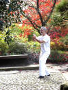 Dr. Langhoff: Faszien-Qigong für Gesundheit, Meditation und Selbstverteidigung / Innere Kampfkunst