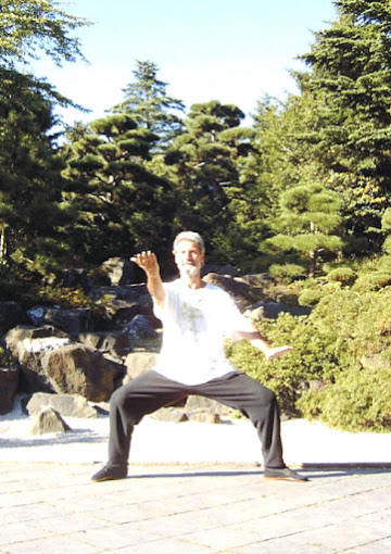 Faszien-Qigong für Resilienz, Meditation, Gesundheitsförderung und Kampfkunst /Selbstverteidigung